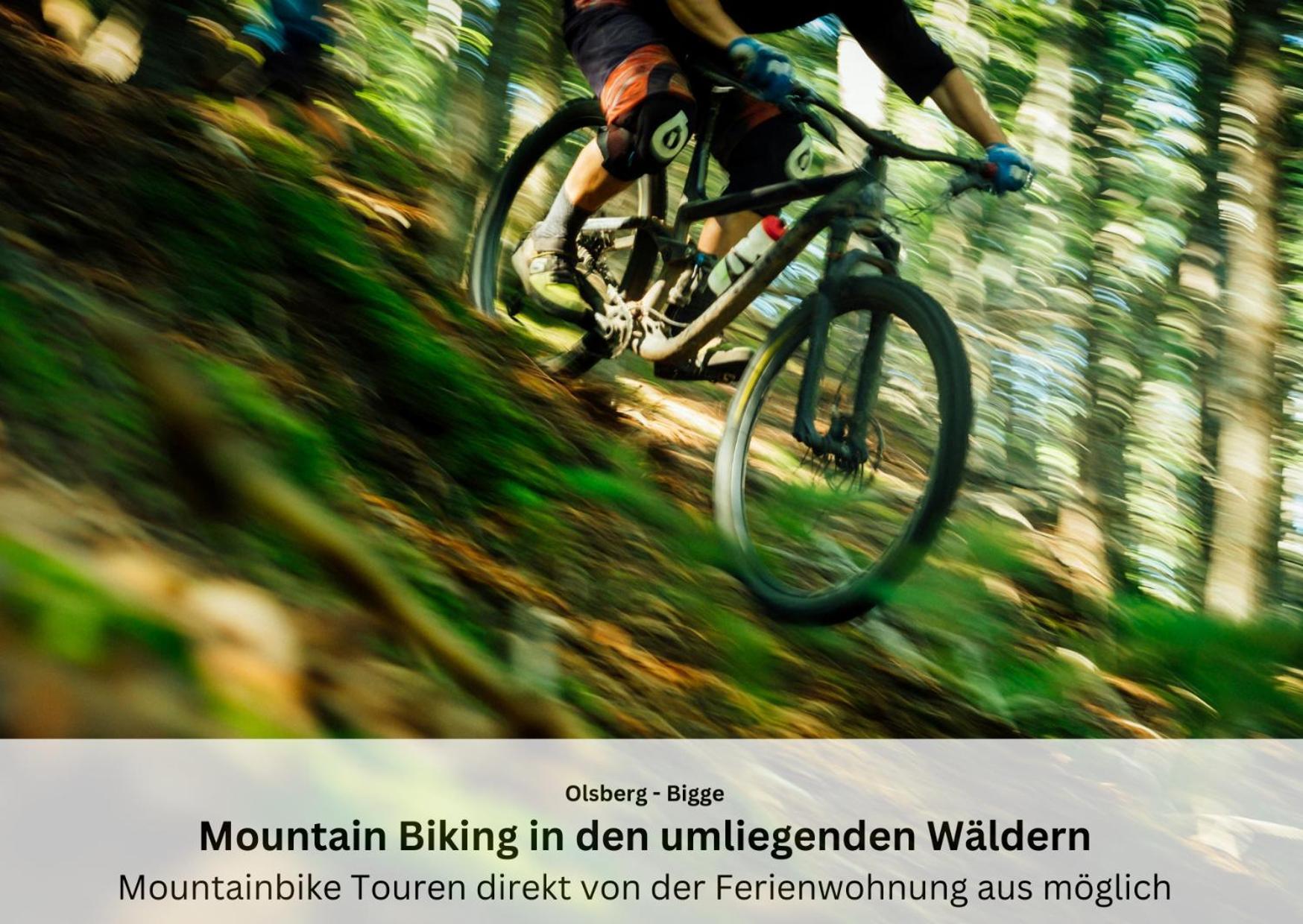 Ferienwohnungen Sauerland Und Olsberg Zewnętrze zdjęcie