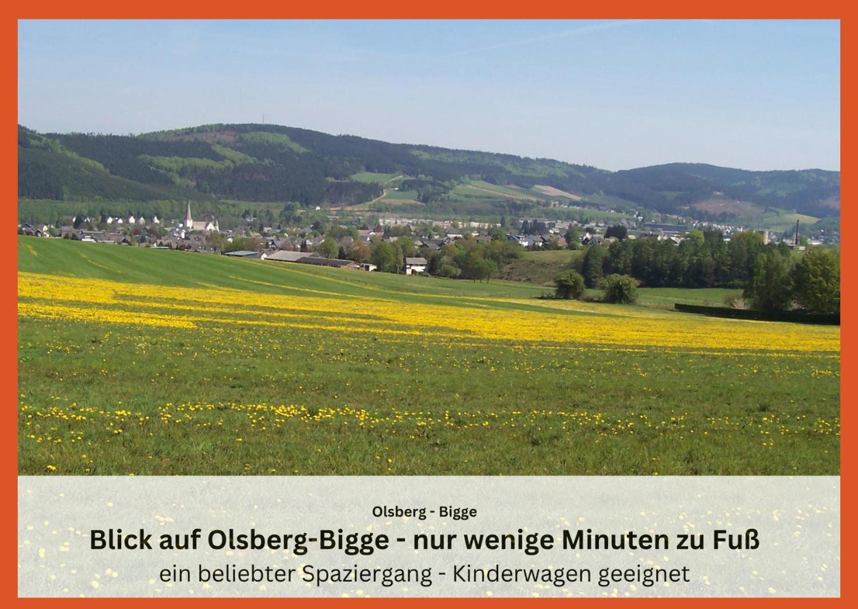 Ferienwohnungen Sauerland Und Olsberg Zewnętrze zdjęcie