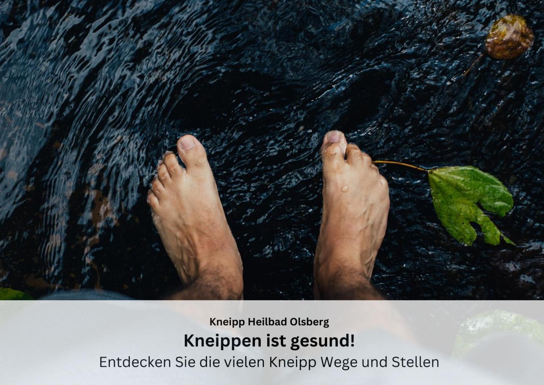 Ferienwohnungen Sauerland Und Olsberg Zewnętrze zdjęcie