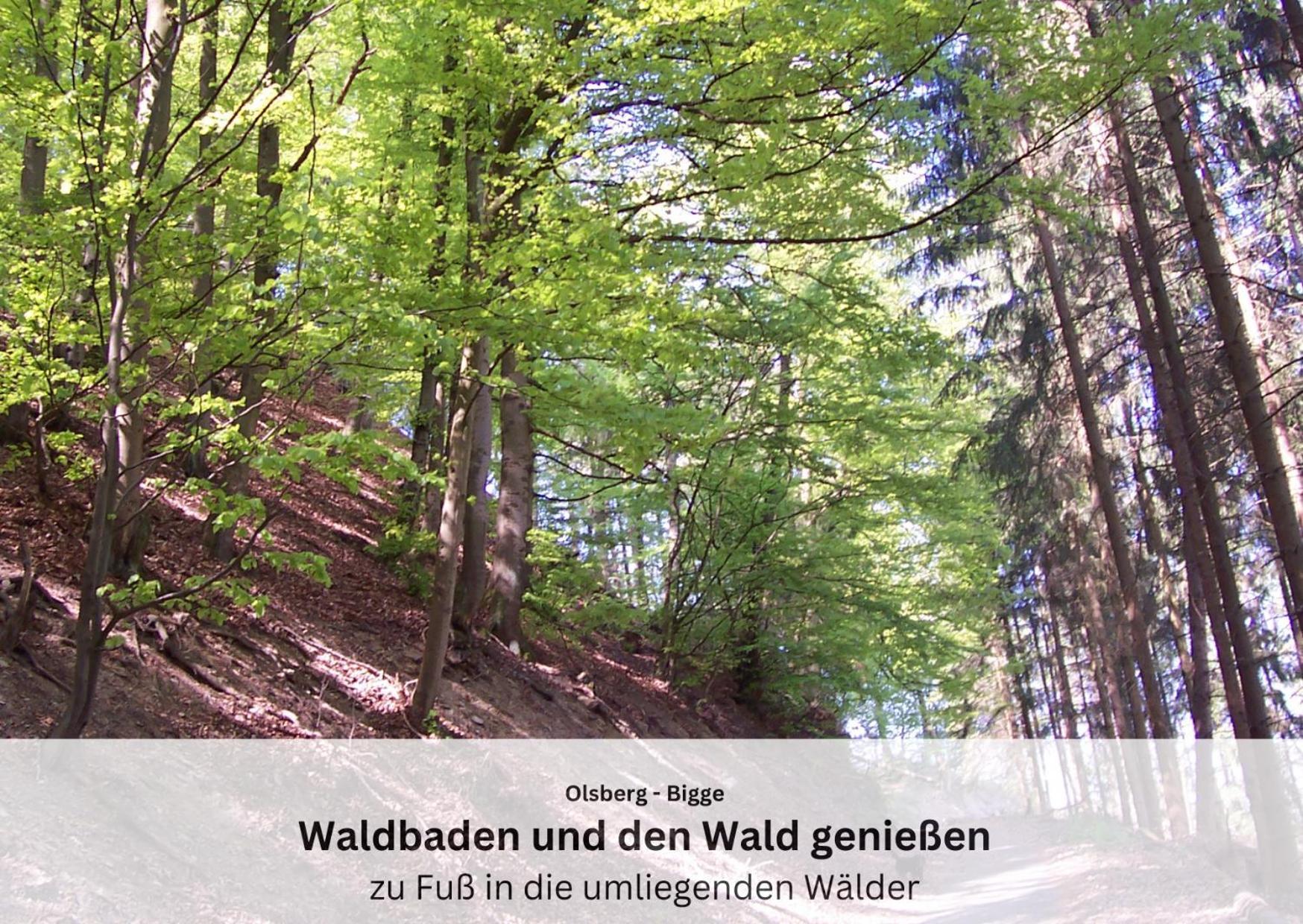 Ferienwohnungen Sauerland Und Olsberg Zewnętrze zdjęcie